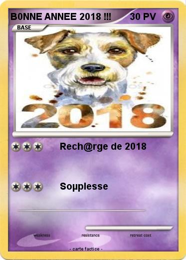 Pokemon B0NNE ANNEE 2018 !!!