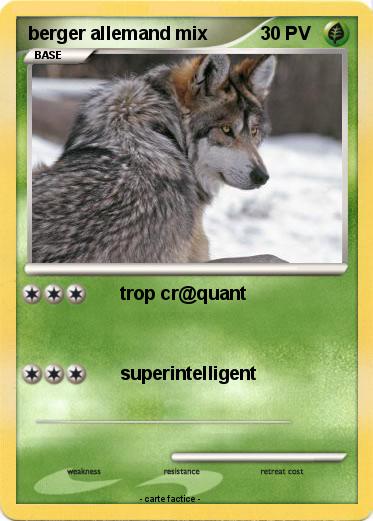 Pokemon berger allemand mix