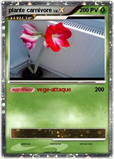 Pokemon plante carnivore