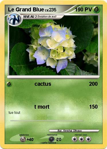 Pokemon Le Grand Blue