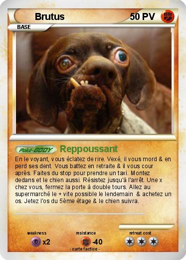 Pokemon Brutus