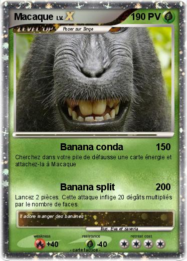 Pokemon Macaque