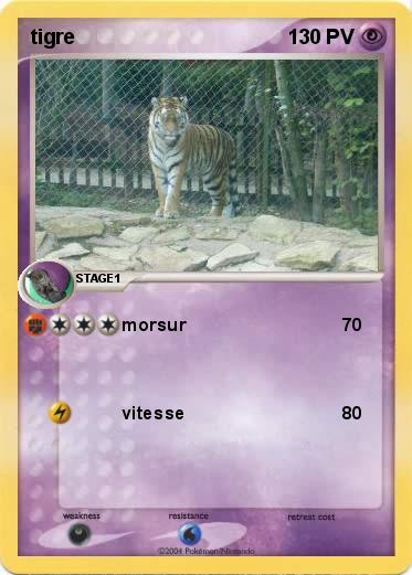 Pokemon tigre
