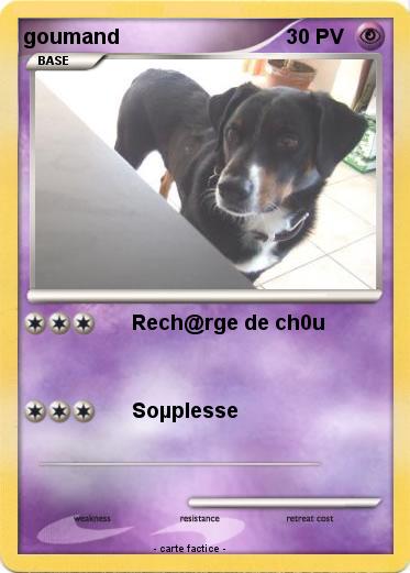 Pokemon goumand
