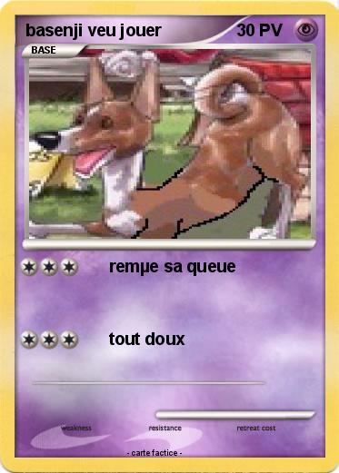 Pokemon basenji veu jouer