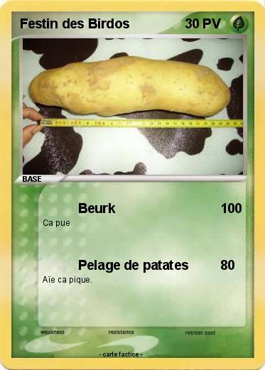 Pokemon Festin des Birdos