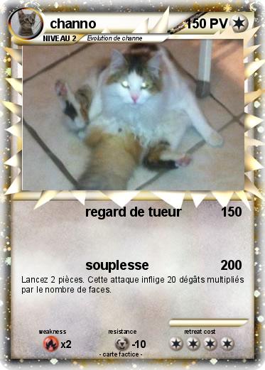 Pokemon channo