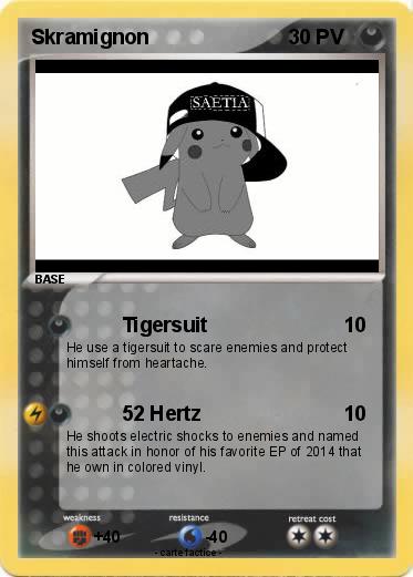 Pokemon Skramignon