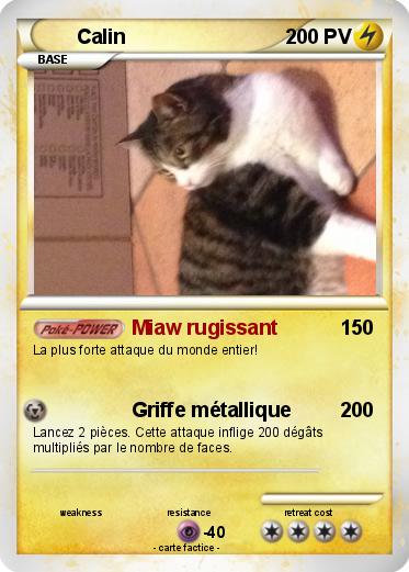 Pokemon Calin