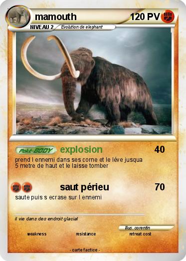 Pokemon mamouth