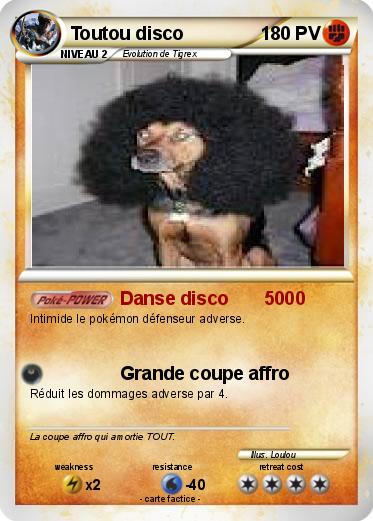 Pokemon Toutou disco