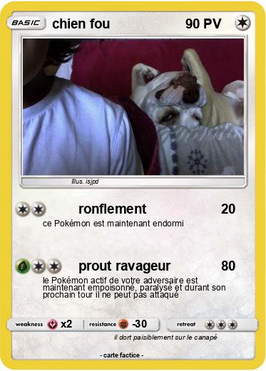 Pokemon chien fou
