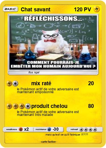 Pokemon Chat savant Pokemon Chat savant