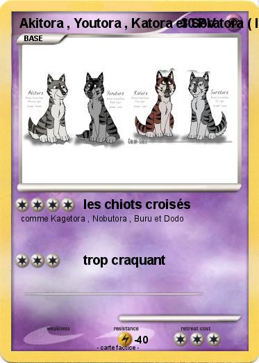 Pokemon Akitora , Youtora , Katora et Soratora ( les chiots de Ryou et Kagetora )