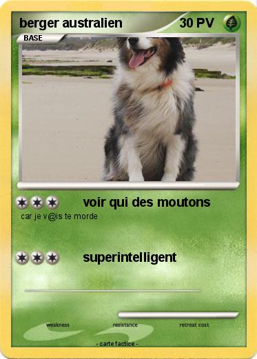 Pokemon berger australien