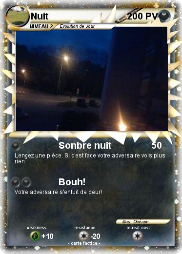 Pokemon Nuit