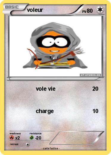Pokemon voleur