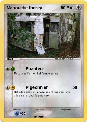 Pokemon Manouche thorey