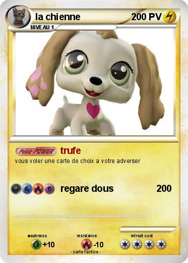 Pokemon la chienne