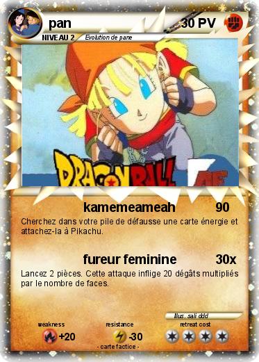 Pokemon pan