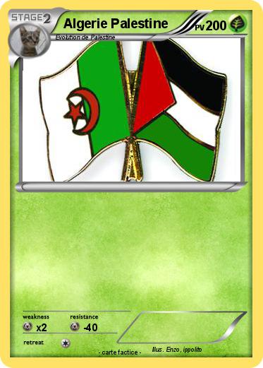 Pokemon Algerie Palestine