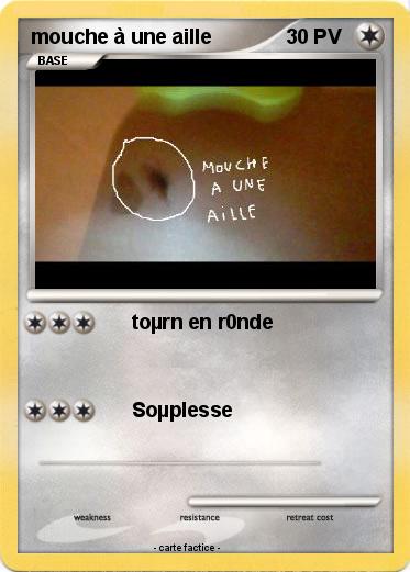 Pokemon mouche à une aille