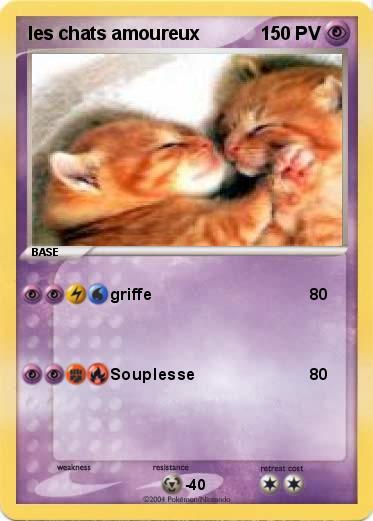 Pokemon les chats amoureux