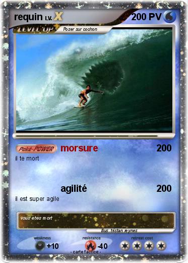 Pokemon requin