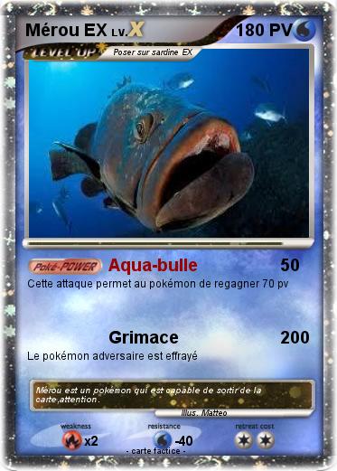Pokemon Mérou EX