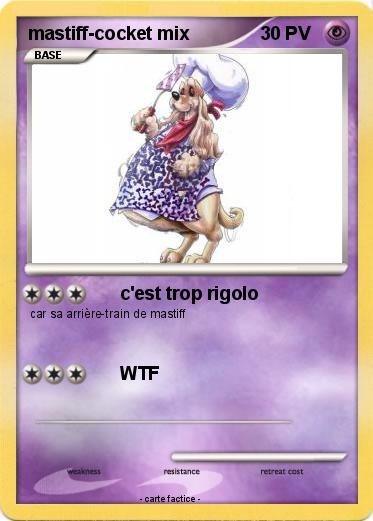 Pokemon mastiff-cocket mix