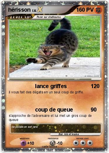 Pokemon hérisson