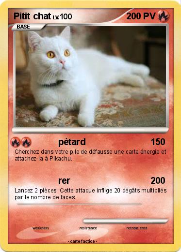 Pokemon Pitit chat