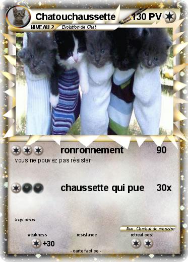 Pokemon Chatouchaussette