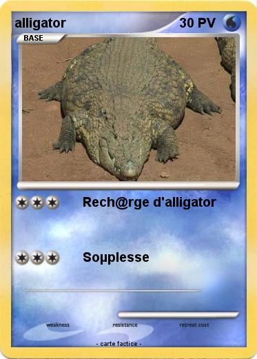 Pokemon alligator