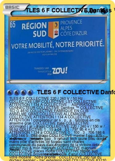Pokemon TLES 6 F COLLECTIVE Danfoss ™