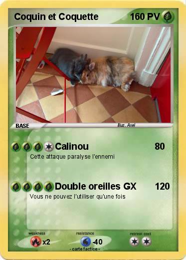Pokemon Coquin et Coquette