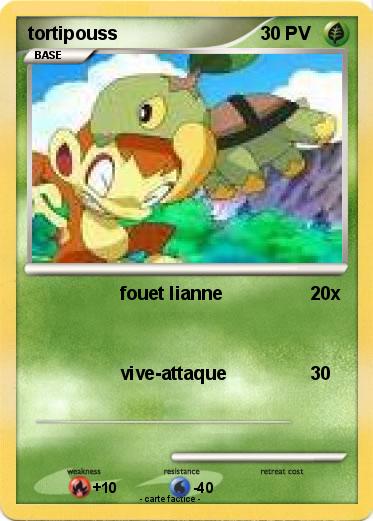 Pokemon tortipouss