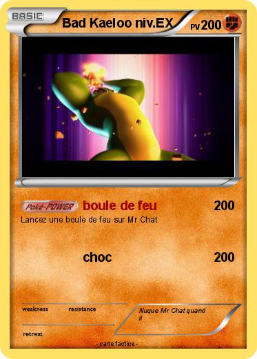 Pokemon Bad Kaeloo niv.EX
