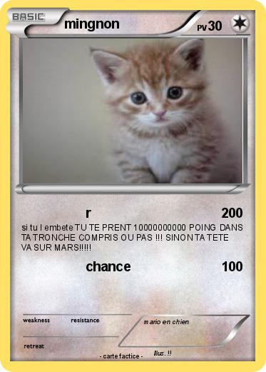 Pokemon mingnon