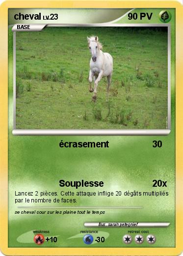 Pokemon cheval