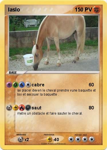 Pokemon laslo
