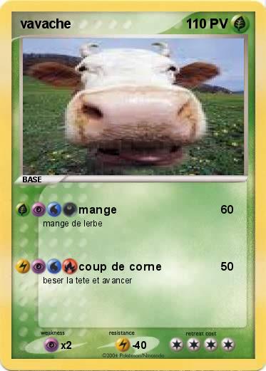 Pokemon vavache
