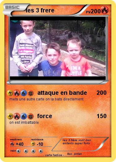Pokemon les 3 frere