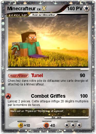 Pokemon Minecrafteur
