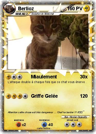 Pokemon Berlioz