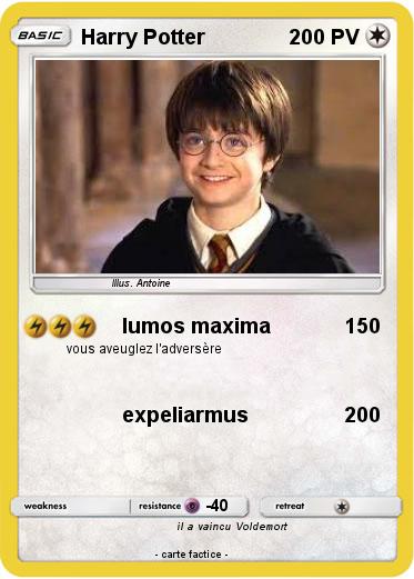 Pokemon Harry Potter