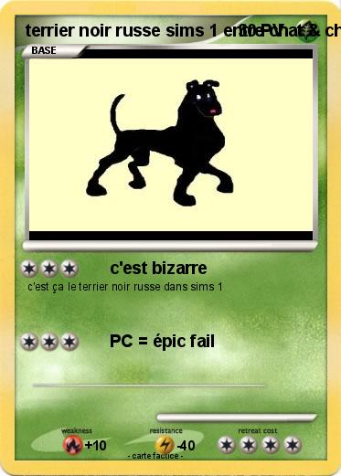 Pokemon terrier noir russe sims 1 entre chat & chien ( 2002 )