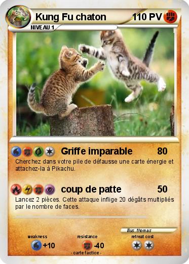 Pokemon Kung Fu chaton