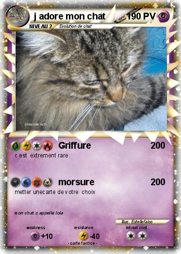 Pokemon j adore mon chat