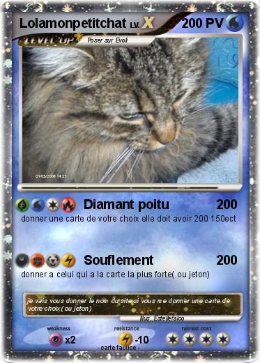 Pokemon Lolamonpetitchat